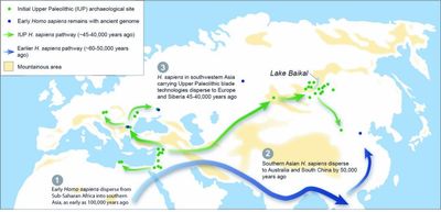 Study Shows Humans Migrated To Europe During Prehistoric Warm Spell