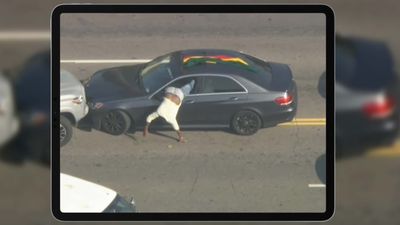 See Alleged Thief Lose Pants Surrendering to Police After Car Chase