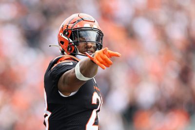 Bengals betting odds tanking due to Joe Burrow’s injury