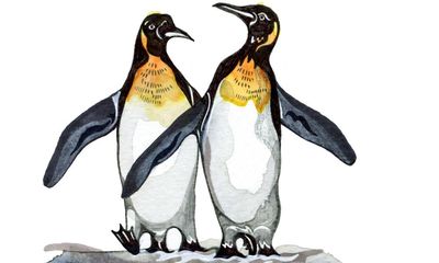 Can penguins be friends and why do clocks tick? Try our kids’ quiz