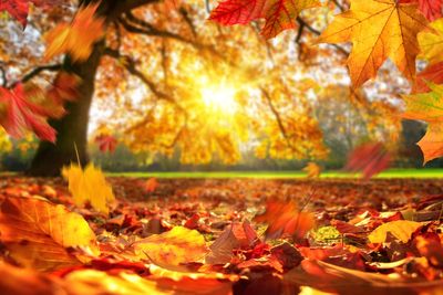 What is Autumn Equinox and why does it happen?