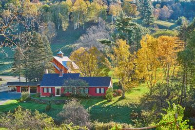 Attack of the influencers: Vermont town shuts road to prevent Instagram hoards in leaf-peeping season