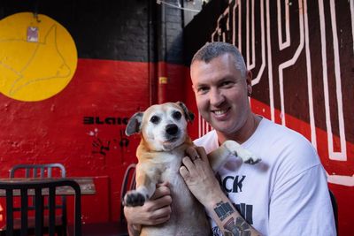 ‘Better behaved than some patrons’: should dogs be allowed inside all Australian pubs?