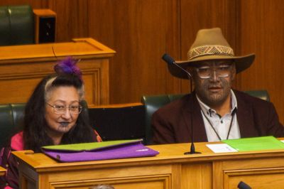 I don't want Te Pāti Māori choosing my electoral roll