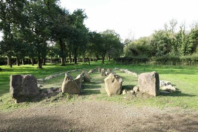 Tomb older than the pyramids secures new home at Ulster Folk Museum