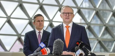 Labor and Albanese recover in Newspoll as Dutton falls, but the Voice's slump continues
