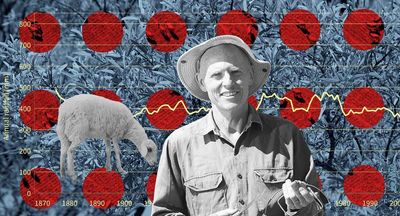 Regulators vs science: Why mulga exposes our carbon credits system as a rort