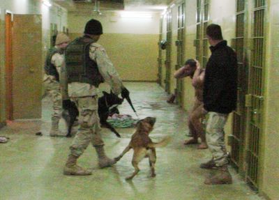 US has failed to compensate tortured victims of its Iraq prisons: HRW