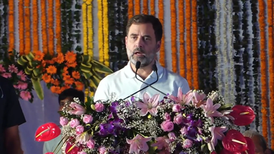 Rahul Gandhi bats for national OBC census in Chhattisgarh public meeting