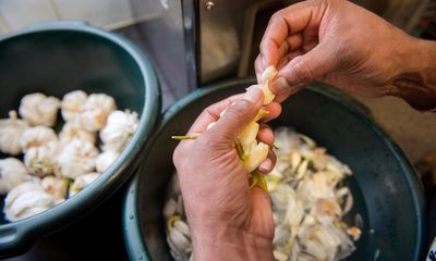 Eat yoghurt to ward off garlic breath, say scientists