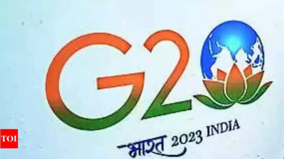 NDMC sets up panel to protect assets created during G20 Summit