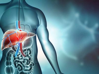 These foods in your lunch box are likely to lead to fatty liver