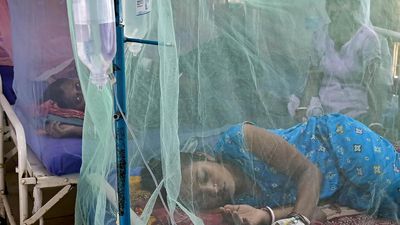 West Bengal’s top official holds meeting on dengue management