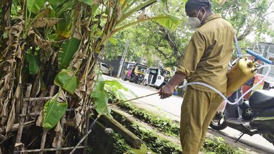 Health dept. battling dengue fever uptick in Kozhikode, hotspots to be identified