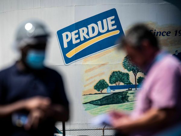 Perdue Farms and Tyson Foods under federal inquiry over reports of illegal child labor