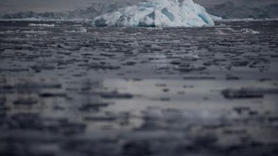 Antarctic winter sea ice hits 'extreme' record low