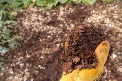 How can I boost my soil when I go peat-free?