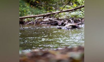 Microplastic sources and hidden sinks can be found in rivers