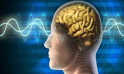 Health: Brain signals for improved memory performance identified through research