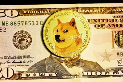 What Is the Probability of Shiba Inu Reaching $1?