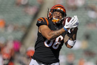 Browns add Devin Asiasi among 4 practice squad roster moves
