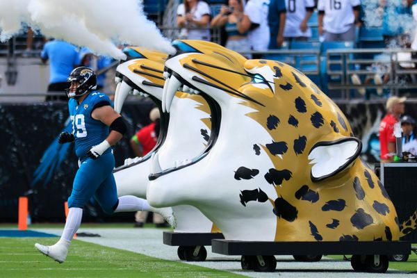 Texans troll Jaguars with 'script' joke on social media