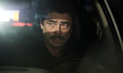 Reptile review – Benicio Del Toro looms large in gruesomely ambitious noir
