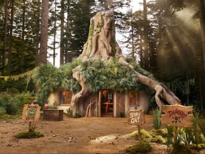 Here’s how you can spend the night in Shrek’s swamp – for free