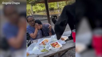 Mother shields terrified son as black bear gatecrashes birthday picnic in Mexico