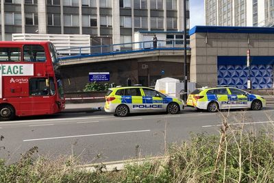Teenage girl stabbed to death during rush hour in south London