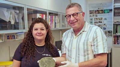 Well-Preserved Bronze Mirror Found In Ancient Jerusalem Tomb
