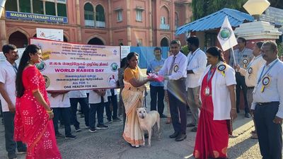 Madras Veterinary College holds awareness rally for World Rabies Day