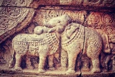 One of the world's oldest optical illusions; how many animals do you see?