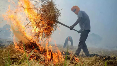 With harvest season around the corner, UP distributes waste decomposers to tackle stubble-burning