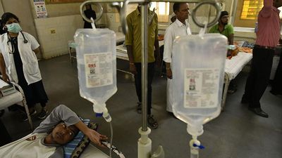 Telangana recorded 5,263 dengue cases this season