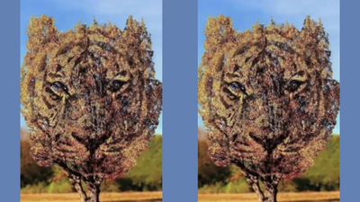 Personality test: What you see first reveals if you are kind-hearted or fiercely independent