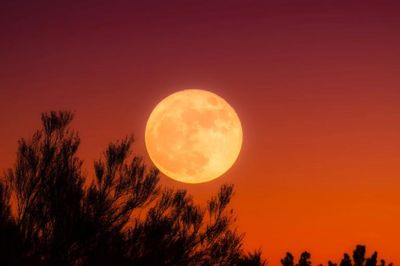 How can I watch the last full Harvest Supermoon of the year?