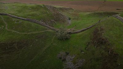 Sycamore Gap: Boy, 16, released on bail after felling of ‘Robin Hood tree’ next to Hadrian’s Wall