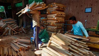 As Cricket World Cup fever grips India, bat manufacturers in J-K struggle to meet demand