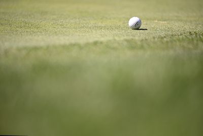Georgia city fires golf course superintendent after learning he once tried having brother killed