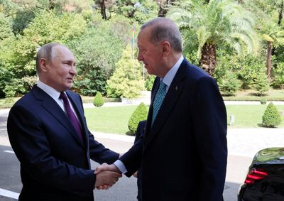 Turkish neutrality: How Erdogan manages ties with Russia, Ukraine amid war