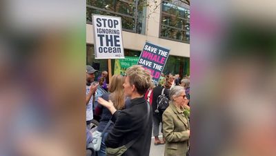 Chris Packham joins London protest following devastating UK wildlife report