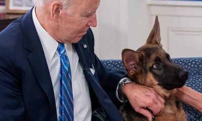 ‘It’s always down to human failure’: President Biden, this is how to stop your dog biting people