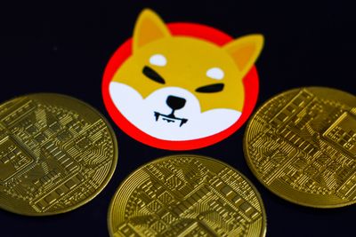 Shiba Inu Burn Rate Soars 1000% As 164 Million Tokens Removed