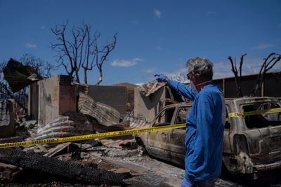 Authorities in Maui will open more of the burn zone to visits by residents next week