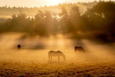 AP Week in Pictures: Europe and Africa
