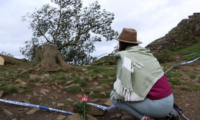 Share your memories and pictures of the Sycamore Gap tree