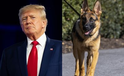 From Trump's nickname to Commander Biden's bad behavior, can you beat the news quiz?