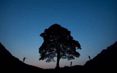 Where is Sycamore Gap?