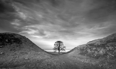 ‘More than just a tree’: recollections of Northumberland’s Sycamore Gap